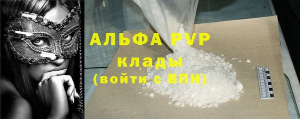 гашик Богданович
