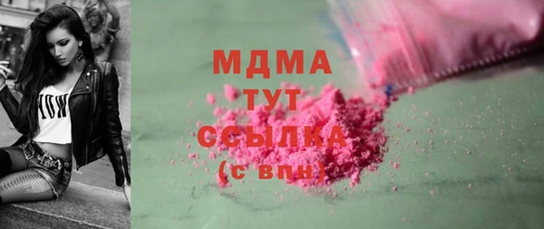 гашик Богданович