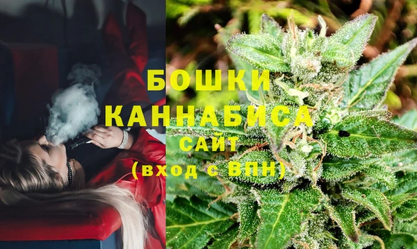 2c-b Богородицк