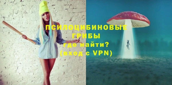 2c-b Богородицк