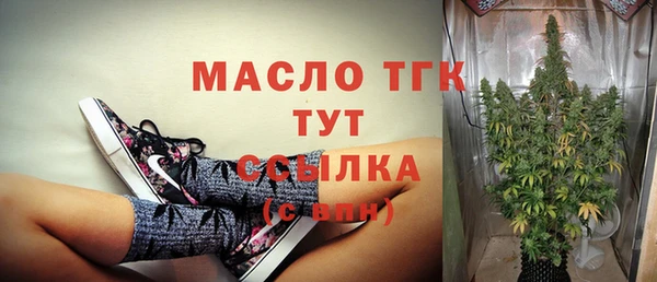 гашик Богданович