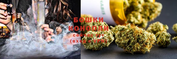 мдпв Богородск