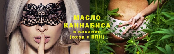мдпв Богородск