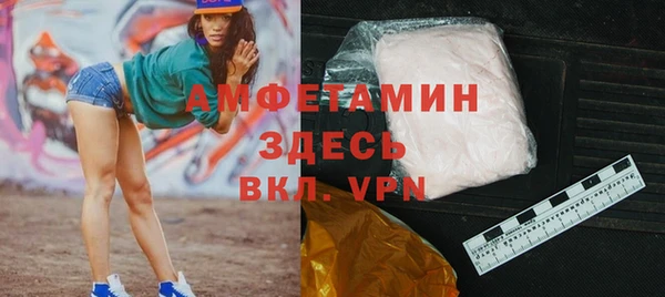 мдпв Богородск